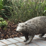 badger