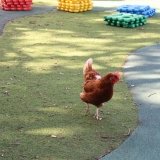IMG_8646
