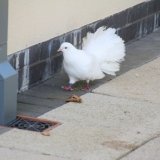 IMG_8651
