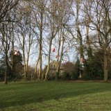IMG_6275