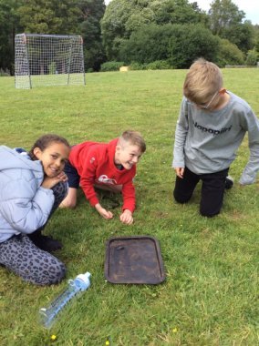 IMG_0706_Original