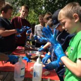 IMG_0668_Original