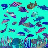 Rivers-of-Hope-Final-resized