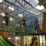 IMG_1917