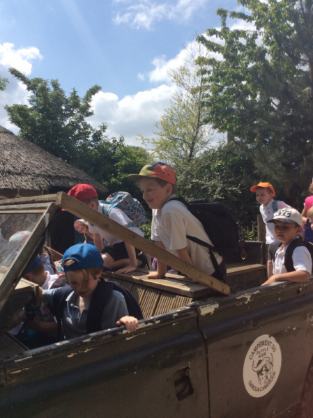 IMG_3613
